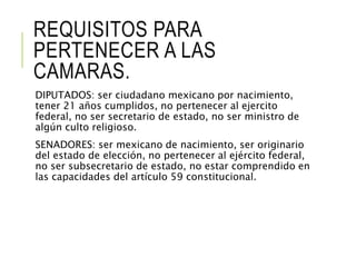REQUISITOS PARA 
PERTENECER A LAS 
CAMARAS. 
DIPUTADOS: ser ciudadano mexicano por nacimiento, 
tener 21 años cumplidos, no pertenecer al ejercito 
federal, no ser secretario de estado, no ser ministro de 
algún culto religioso. 
SENADORES: ser mexicano de nacimiento, ser originario 
del estado de elección, no pertenecer al ejército federal, 
no ser subsecretario de estado, no estar comprendido en 
las capacidades del artículo 59 constitucional. 
 