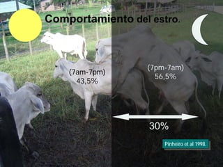 Comportamiento del estro.



                  (7pm-7am)
    (7am-7pm)
                    56,5%
      43,5%




                   30%
                      Pinheiro et al 1998.
                       Pinheiro et al 1998.

                                 11/16/2011   16
 