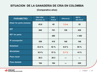 SITUACION DE LA GANADERIA DE CRIA EN COLOMBIA
                          (Comparativo años)


                         1982-1994      PAIS                  META
      PARAMETRO          (Estrada JL)   Actual
                                                 Diferencia
                                                              (No ideal)

Edad 1er parto (meses)
                            43.8         45       1.2 m          32

IEP
                            840          701       139          430

IEP 1er parto
                                         480                   < 450

IP concepción
                            559          419       140          148

Natalidad
                           43.4 %       52 %      8.6 %         85 %

Mortalidad
                           9.9 %        15 %      5.1 %         <4 %

Peso nacer
                            30.3        30.3        ---           --

Peso destete
                            164          164        ---         220


                                                                       11/16/2011   17
 