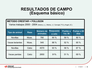 RESULTADOS DE CAMPO
                    (Esquema básico)
METODO CRESTAR + FOLLIGON
 Varios trabajos 2000 - 2004 (Molina J.J,, Molina, J.I, Carvajal, P.S y Angel J.E.)

                                     Número de Respuesta              Preñéz a        Preñez a 60
Tipo de animal           Raza
                                      animales   a celo                1ra. IA           días
     Novillas            Mzas.            780            90 %           59 %             80 %

Vacas lactantes          Mzas.            545            88 %           52 %             65 %

     Novillas            Cebú            4570            93 %           58 %             87 %


 Vacas paridas           Cebú            2650            91%            51 %             69 %




                                                                                           11/16/2011   26
 