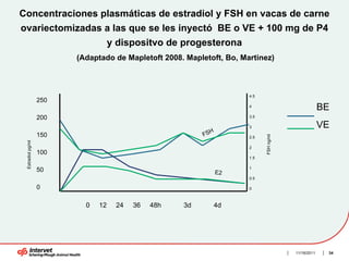 Concentraciones plasmáticas de estradiol y FSH en vacas de carne
ovariectomizadas a las que se les inyectó BE o VE + 100 mg de P4
                                    y dispositvo de progesterona
                         (Adaptado de Mapletoft 2008. Mapletoft, Bo, Martinez)



                                                                       4.5
                   250
                                                                       4
                                                                                                      BE
                   200                                                 3.5

                                                                       3                              VE
                                                            H
                   150                                    FS




                                                                             FSH ng/ml
                                                                       2.5
 Estradiol pg/ml




                                                                       2
                   100
                                                                       1.5

                                                                       1
                   50                                           E2
                                                                       0.5

                   0                                                   0



                           0   12    24   36   48h   3d      4d




                                                                                         11/16/2011    34
 