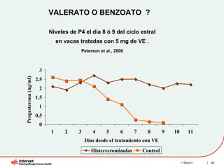 VALERATO O BENZOATO ?

                             Niveles de P4 el día 8 ó 9 del ciclo estral
                                 en vacas tratadas con 5 mg de VE .
                                          Peterson et al., 2000



                        3
Progesterona (ng/ml)




                       2,5
                        2
                       1,5
                        1
                       0,5
                        0
                             1      2    3      4     5      6     7     8       9   10        11
                                             Días desde el tratamiento con VE
                                               Histerectomizadas       Control

                                                                                          11/16/2011   35
 