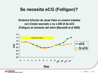 Se necesita eCG (Folligon)?

           Dinàmica folicular de vacas Cebù en anestro tratadas
                 con Crestar asociado o no a 400 UI de eCG
           (Folligon) al momento del retiro (Baruselli et al 2005)

     1,4
     1,2               Implante Crestar
     1,0
     0,8                                                                     eCG
cm




     0,6
                                                                             S/ eCG
     0,4
     0,2
     0,0
                                     6
                                           7

                                                 8
                                                     9
           0




                           4
                                5
               1

                   2
                       3




                                                               t



                                                                         t
                                                          m



                                                                    m
                                                              10



                                                                        11
                                                         10



                                                                   11
                                          Dìas
                                                                               11/16/2011   39
 