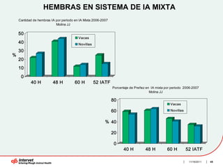 HEMBRAS EN SISTEMA DE IA MIXTA
    Cantidad de hembras IA por periodo en IA Mixta 2006-2007
                           Molina JJ

    50
                                         Vacas
    40                                   Novillas

    30
%
    20
    10
     0
           40 H          48 H          60 H         52 IATF
                                                               Porcentaje de Preñez en IA mixta por periodo 2006-2007
                                                                                      Molina JJ

                                                               80
                                                                                                   Vacas

                                                               60                                  Novillas


                                                          % 40

                                                               20

                                                                0
                                                                      40 H         48 H          60 H         52 IATF

                                                                                                               11/16/2011   45
 