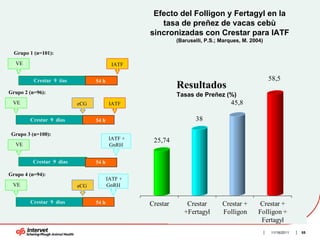 Efecto del Folligon y Fertagyl en la
                                                    tasa de preñez de vacas cebù
                                                 sincronizadas con Crestar para IATF
                                                           (Baruselli, P.S.; Marques, M. 2004)

  Grupo 1 (n=101):
  VE                                      IATF


          Crestar 9 ìias         54 h                                                            58,5
                                                           Resultados
Grupo 2 (n=96):                                            Tasas de Preñez (%)
 VE                        eCG           IATF                                    45,8

        Crestar 9 dìas           54 h                             38

 Grupo 3 (n=100):
                                        IATF +    25,74
  VE                                    GnRH


         Crestar 9 dìas          54 h

Grupo 4 (n=94):
                                        IATF +
 VE                        eCG          GnRH


        Crestar 9 dìas           54 h            Crestar       Crestar       Crestar +       Crestar +
                                                              +Fertagyl      Folligon       Folligon +
                                                                                             Fertagyl
                                                                                                 11/16/2011   55
 