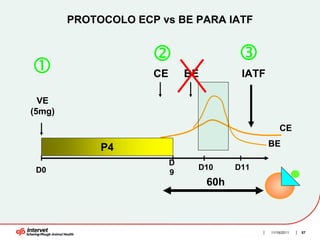 PROTOCOLO ECP vs BE PARA IATF




                     CE       BE          IATF

  VE
(5mg)
                                                     CE

             P4                                  BE

                          D
 D0                            D10       D11
                          9
                                   60h



                                                 11/16/2011   57
 