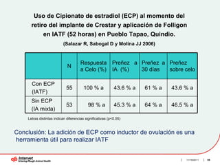 Uso de Cipionato de estradiol (ECP) al momento del
      retiro del implante de Crestar y aplicación de Folligon
             en IATF (52 horas) en Pueblo Tapao, Quindio.
                          (Salazar R, Sabogal D y Molina JJ 2006)


                                      Respuesta           Preñez a Preñez a Preñez
                             N
                                      a Celo (%)          IA (%)   30 días  sobre celo

      Con ECP
                            55          100 % a            43.6 % a   61 % a   43.6 % a
      (IATF)
      Sin ECP
                            53            98 % a           45.3 % a   64 % a   46.5 % a
      (IA mixta)
    Letras distintas indican diferencias significativas (p<0.05)


Conclusión: La adición de ECP como inductor de ovulación es una
herramienta útil para realizar IATF


                                                                                    11/16/2011   59
 