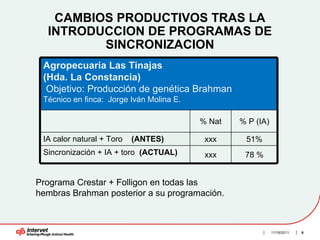 CAMBIOS PRODUCTIVOS TRAS LA
  INTRODUCCION DE PROGRAMAS DE
         SINCRONIZACION
 Agropecuaria Las Tinajas
 (Hda. La Constancia)
  Objetivo: Producción de genética Brahman
 Técnico en finca: Jorge Iván Molina E.

                                          % Nat   % P (IA)

 IA calor natural + Toro   (ANTES)         xxx     51%
 Sincronización + IA + toro (ACTUAL)       xxx     78 %


Programa Crestar + Folligon en todas las
hembras Brahman posterior a su programación.



                                                             11/16/2011   6
 