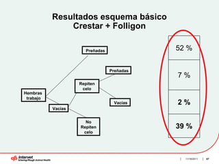 Resultados esquema básico
               Crestar + Folligon

                      Preñadas              52 %

                                 Preñadas
                                            7%
                    Repiten
                     celo
Hembras
 trabajo
                                  Vacías    2%
           Vacías


                      No
                    Repiten                 39 %
                     celo




                                              11/16/2011   67
 