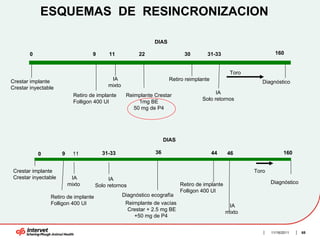 ESQUEMAS DE RESINCRONIZACION

                                                              DIAS

        0                           9     11            22                 30        31-33                      160


                                                                                                Toro
Crestar implante                           IA                        Retiro reimplante                    Diagnóstico
Crestar inyectable                        mixto
                                                                                         IA
                            Retiro de implante     Reimplante Crestar
                                                                                   Solo retornos
                            Folligon 400 UI             1mg BE
                                                      50 mg de P4




                                                                   DIAS

            0         9     11          31-33                 36                         44    46                   160


 Crestar implante                                                                                      Toro
 Crestar inyectable        IA              IA
                          mixto                                           Retiro de implante                  Diagnóstico
                                     Solo retornos
                                                                          Folligon 400 UI
                Retiro de implante                Diagnóstico ecografía
                Folligon 400 UI                    Reimplante de vacías
                                                                                                IA
                                                    Crestar + 2.5 mg BE
                                                                                               mixto
                                                      +50 mg de P4


                                                                                                              11/16/2011    68
 
