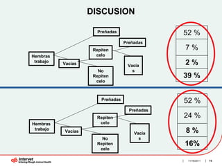 DISCUSION

                       Preñadas                 52 %
                                   Preñadas
                     Repiten                    7%
Hembras               celo
 trabajo
           Vacías                   Vacía
                                                2%
                       No             s
                     Repiten                    39 %
                      celo



                        Preñadas                52 %
                                     Preñadas
                      Repiten                   24 %
Hembras                celo
 trabajo
           Vacías                      Vacía    8%
                        No               s
                      Repiten                   16%
                       celo

                                                 11/16/2011   74
 