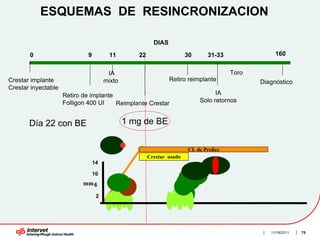 ESQUEMAS DE RESINCRONIZACION

                                                        DIAS

       0                     9         11        22                   30     31-33               160


                                       IA                                            Toro
Crestar implante                      mixto                    Retiro reimplante            Diagnóstico
Crestar inyectable
                     Retiro de implante                                          IA
                     Folligon 400 UI    Reimplante Crestar                 Solo retornos


       Día 22 con BE                          1 mg de BE


                                                                      CL de Preñez
                                                      Crestar usado
                                 14

                                 10
                            mm 6

                                  2




                                                                                               11/16/2011   75
 