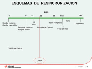 ESQUEMAS DE RESINCRONIZACION

                                                      DIAS

       0                      9      11          22                30     31-33               160


                                                                                  Toro
Crestar implante                       IA                    Retiro reimplante
                                      Mixto                                              Diagnóstico
Crestar inyectable
                     Retiro de implante       Reimplante Crestar              IA
                     Folligon 400 UI                                    Solo retornos




      Día 22 con GnRH




                                              GnRH


                                                                                            11/16/2011   77
 