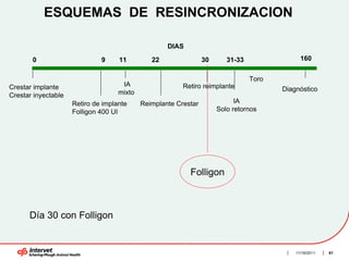 ESQUEMAS DE RESINCRONIZACION

                                                    DIAS

       0                      9     11         22                30      31-33                160


                                                                                 Toro
Crestar implante                     IA                  Retiro reimplante
                                    mixto                                               Diagnóstico
Crestar inyectable
                     Retiro de implante     Reimplante Crestar              IA
                     Folligon 400 UI                                  Solo retornos




                                                           Folligon



      Día 30 con Folligon


                                                                                            11/16/2011   81
 