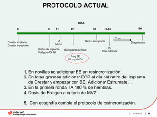 PROTOCOLO ACTUAL

                                                      DIAS

       0                     9     11           22                 30        31-33                 160


                                                                                      Toro
Crestar implante                    IA                       Retiro reimplante               Diagnóstico
Crestar inyectable                 Mixto
                                                                                 IA
                     Retiro de implante    Reimplante Crestar              Solo retornos
                     Folligon 400 UI
                                                1mg BE
                                              50 mg de P4




             1. En novillas no adicionar BE en resincronización.
             2. En lotes grandes adicionar ECP el día del retiro del implante.
                de Crestar y empezar con BE. Adicionar Estrumate. .
             3. En la primera ronda IA 100 % de hembras.
             4. Dosis de Folligon a criterio de MVZ.

             5. Con ecografía cambia el protocolo de resincronización.

                                                                                              11/16/2011   84
 