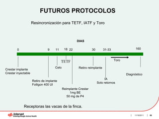 FUTUROS PROTOCOLOS
                     Resincronización para TETF, IATF y Toro



                                                      DIAS

        0                       9    11      18 22               30        31-33                160


                                                                                   Toro
                                          TETF
                                     Celo              Retiro reimplante
Crestar implante
Crestar inyectable                                                                        Diagnóstico
                                                                            IA
                     Retiro de implante
                                                                      Solo retornos
                     Folligon 400 UI
                                            Reimplante Crestar
                                                 1mg BE
                                               50 mg de P4


             Receptoras las vacas de la finca.

                                                                                               11/16/2011   86
 