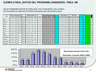 EJEMPLO REAL (DATOS DEL PROGRAMA GANADERO) FINCA NN

KG DE TERNERNO DESTETO POR CADA VACA EXISTENTE EN LA FINCA
DE ACUERDO AL MES DE SU PARTO (Sumatoria año 2002-2003 y 2004)

              Peso al destete (Kg)  MORTALIDAD (%)                              P eso al destete/mo rtalidad    TOTAL       Días abiertos   IEP (Días)                  TOTAL     NAT      TOTAL
        MES
               2002 2003 2004 Prom 2002 2003 2004                      Prom      2002      2003      2004      KG/ DTTE   2002 2003 2004 2002 2003 2004                 POR IEP           KG / NA T

Enero          172,8   181,9   216,3   190,3    6,45   6,67    4,58      5,9     161,7    169,8     206,4       179,3     244   307    220   536,41   599,04   511,44     549     66,5%    119,2          9

Febrero        182,6   195,8   211,8   196,7    6,6    2,44    6,6       5,2     170,5     191,0    197,8       186,5     249   307    200   541,82   599,17   492,85     545     67,0%    125,0          4

M arzo         186,1   197,9   204,8   196,3    11,4   6,41    6,38      8,1     164,9    185,2      191,7      180,6     264   307    198   556,06   599,76   490,72     549     66,5%    120,1          8

A bril         201,4   210,9   200,2   204,2    8,6    2,1     2,26      4,3     184,1    206,5     195,7       195,4     235   265    201   527,13   557,02   493,04     526     69,4%    135,7          1

M ayo          190,7   210,5   196,5   199,2    10,3    10     5,59      8,6      171,1   189,5     185,5       182,0     273   291    194   565,92   583,43   486,78     545     66,9%    121,8          7

Junio          168,6   198,9   211,2   192,9     11     9      6,91      9,0     150,1     181,0    196,6       175,9     261   296    203   553,01   588,43   495,02     545     66,9%    117,7          11

Julio          168,5   207,6   207,4   194,5    8,24   9,09    5,26      7,5     154,6    188,7     196,5       179,9     263   313    217   555,09   605,72   509,66     557     65,6%    118,0          10

A go sto       165,9   187,1           176,5    4,72   2,33    4,83      4,0     158,1    182,7      0,0        170,4     274   275    236   566,71   567,73   528,61     554     65,8%    112,2          12

Septiembre     179,5   199,8           189,7    5,88   5,88    10,4      7,4     168,9     188,1     0,0        178,5     258   243    218   550,71   535,66   510,32     532     68,6%    122,4          6

Octubre        189,4   189,1           189,3    3,54   4,46    8,66      5,6     182,7    180,7      0,0        181,7     283   241    221   575,93   533,13   513,92     541     67,5%    122,6          5

No viembre     195,0   202,3           198,7    3,25   8,25    4,52      5,3     188,7    185,6      0,0        187,1     271   228    208   563,09   520,38   500,34     528     69,1%    129,4          2

Diciembre      198,8   189,4           194,1    3,3    3,91    3,68      3,6     192,2    182,0      0,0        187,1     326   220    210   618,02   512,52   502,23     544     67,1%    125,5          3




              20%                                                     18%

                                                             14%
                                                                                16%                                              Nacimientos durante el año. Hda.
              15%                                                                           13%

                                                                                                                                Riachuelos, Caucasia (2002 al 2005)
                                                                                                             9%
              10%                                                                                                         8%
                                       6%        6%

                 5%                                                                                                                   3%       3%
                                                                                                                                                               2%
                                                                                                                                                                           2%



                 0%
                                Ene            Feb     M ar        Abr         M ay       Jun          Jul          Ago         Sep          Oct        No v            Dic


                                                                                                                                                                                                      9
 