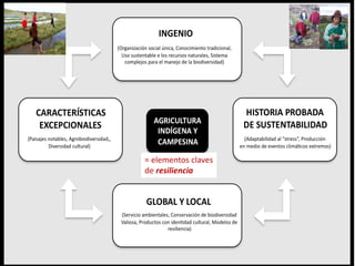 = elementos claves
de resiliencia
 