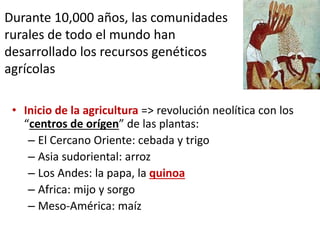Durante 10,000 años, las comunidades
rurales de todo el mundo han
desarrollado los recursos genéticos
agrícolas
• Inicio de la agricultura => revolución neolítica con los
“centros de orígen” de las plantas:
– El Cercano Oriente: cebada y trigo
– Asia sudoriental: arroz
– Los Andes: la papa, la quinoa
– Africa: mijo y sorgo
– Meso-América: maíz
 