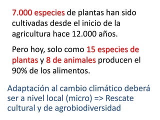 Adaptación al cambio climático deberá
ser a nivel local (micro) => Rescate
cultural y de agrobiodiversidad
7.000 especies de plantas han sido
cultivadas desde el inicio de la
agricultura hace 12.000 años.
Pero hoy, solo como 15 especies de
plantas y 8 de animales producen el
90% de los alimentos.
 