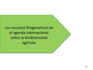 31
Los recursos fitogeneticos en
el agenda internacional
sobre la biodiversidad
agricola
 
