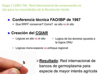 Etapa 1 (1967-74) : Red internacional de conservación ex
situ para las necesidades de la Revolución Verde
► Conferencia técnica FAO/IBP de 1967
 Que RRFF conservar? Como? ex situ vs in situ
► Creación del CGIAR
• Lógicas ex situ vs in situ
• Lógicas mono-especie vs enfoque regional
Resultado: Red internacional de
bancos de germoplasma para
especie de mayor interés agrícola
• Logica de los donores opuesta a
la logica ONU
 