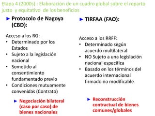 Etapa 4 (2000s) : Elaboración de un cuadro global sobre el reparto
justo y equitativo de los beneficios
► Protocolo de Nagoya
(CBD):
Acceso a los RG:
• Determinado por los
Estados
• Sujeto a la legislación
nacional
• Sometido al
consentimiento
fundamentado previo
• Condiciones mutuamente
convenidas (Contrato)
► Negociación bilateral
(caso por caso) de
bienes nacionales
► TIRFAA (FAO):
Acceso a los RRFF:
• Determinado según
acuerdo multilateral
• NO Sujeto a una legislación
nacional especifica
• Basado en los términos del
acuerdo internacional
firmado no modificable
► Reconstrucción
contractual de bienes
comunes/globales
 