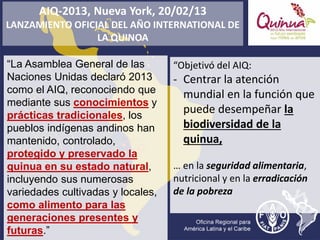 “La Asamblea General de las
Naciones Unidas declaró 2013
como el AIQ, reconociendo que
mediante sus conocimientos y
prácticas tradicionales, los
pueblos indígenas andinos han
mantenido, controlado,
protegido y preservado la
quinua en su estado natural,
incluyendo sus numerosas
variedades cultivadas y locales,
como alimento para las
generaciones presentes y
futuras.”
AIQ-2013, Nueva York, 20/02/13
LANZAMIENTO OFICIAL DEL AÑO INTERNATIONAL DE
LA QUINOA
“Objetivó del AIQ:
- Centrar la atención
mundial en la función que
puede desempeñar la
biodiversidad de la
quinua,
… en la seguridad alimentaria,
nutricional y en la erradicación
de la pobreza
 