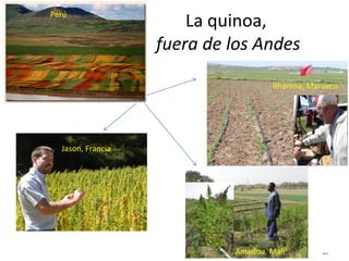 La quinoa,
fuera de los Andes
Jason, Francia
Rhamna, Marueco
…
Amadou, Mali
Perú
 