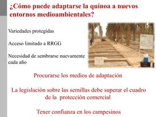 ¿Cómo puede adaptarse la quínoa a nuevos
entornos medioambientales?
Procurarse los medios de adaptación
La legislación sobre las semillas debe superar el cuadro
de la protección comercial
Tener confianza en los campesinos
Variedades protegidas
Acceso limitado a RRGG
Necesidad de sembrarse nuevamente
cada año
 