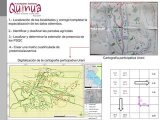 Cartografía participativa Urani
1.- Localización de las localidades y corregir/completar la
espacialización de los datos obtenidos.
2.- Identificar y clasificar las parcelas agrícolas
3.- Localizar y determinar la extensión de presencia de
los PSQC
4.- Crear una matriz cuadriculada de
presencia/ausencia.
Digitalización de la cartografía participativa Urani
 