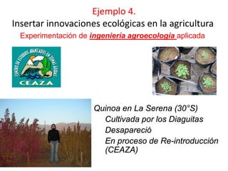 Ejemplo 4.
Insertar innovaciones ecológicas en la agricultura
Experimentación de ingeniería agroecología aplicada
Quinoa en La Serena (30°S)
Cultivada por los Diaguitas
Desapareció
En proceso de Re-introducción
(CEAZA)
 