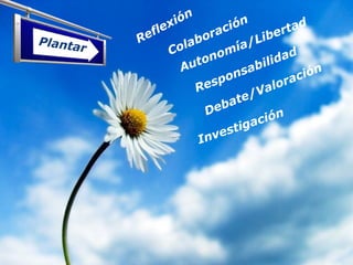 Plantar
Reflexión
Autonomía/Libertad
Colaboración
Responsabilidad
Debate/Valoración
Investigación
 