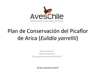 Plan de Conservación del Picaflor 
de Arica (Eulidia yarrellii) 
Karolina Araya S. 
Médico Veterinaria 
Coordinadora AvesChile/UNORCH 
28 de noviembre de 2014 
 