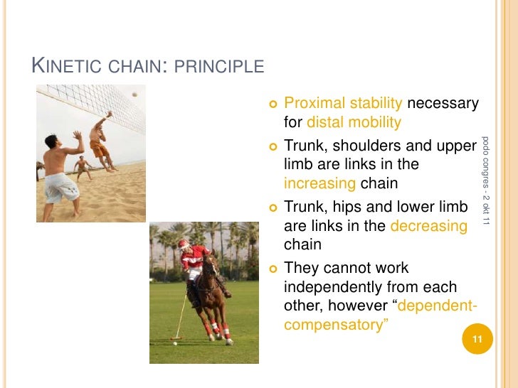 chain" approach in rehabilitation Mrs. Fabienne Vandesteene