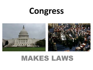 Congress MAKES LAWS 
