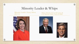 Minority Leader & Whips
Minority Leader: Nancy Pelosi
(D-CA)
Whips: Majority (Kevin McCarthy (R-
CA); Minority (Steny Hoyer D-MD)
 