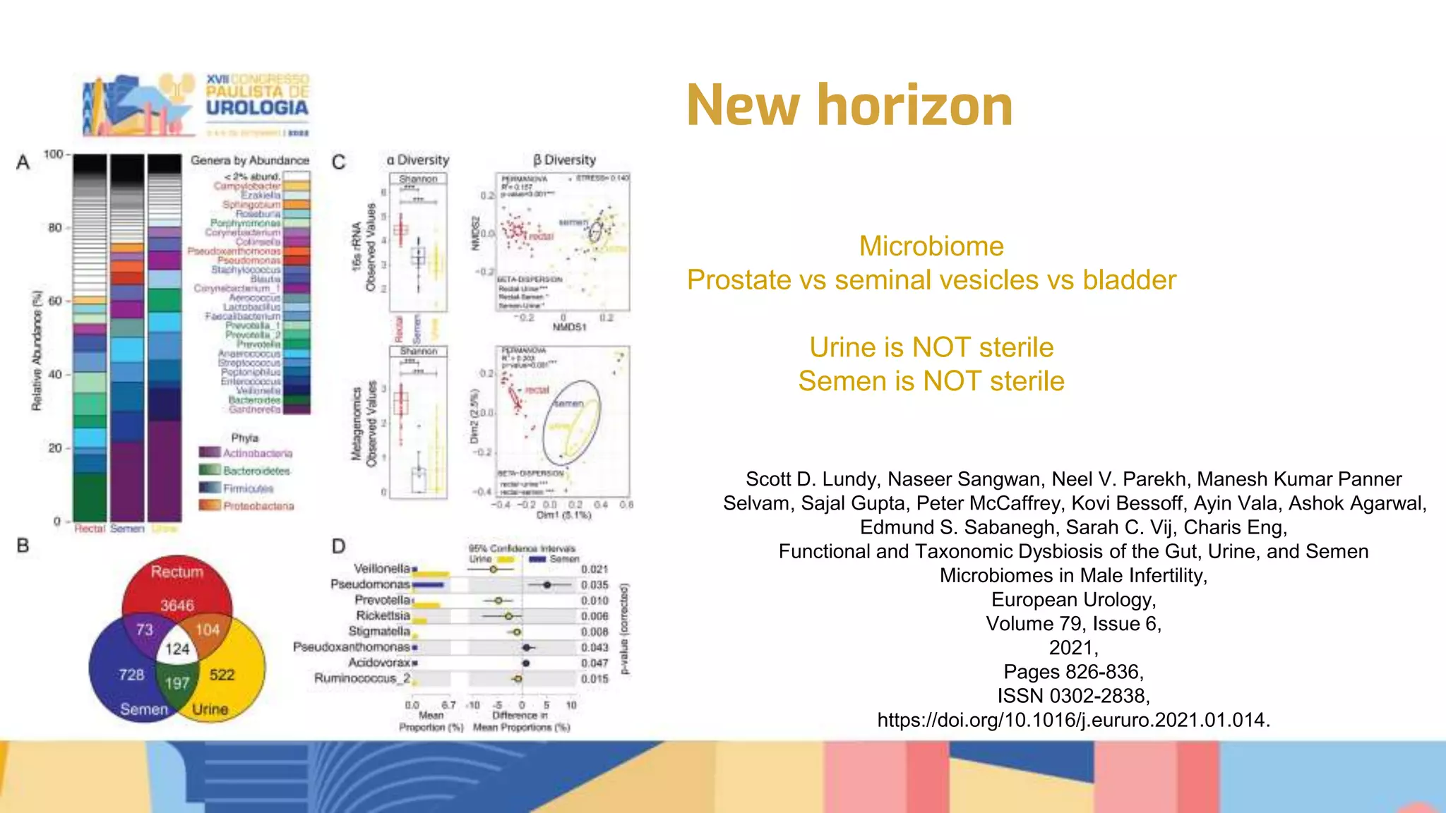 Transurethral seminal vesiculoscopy for chronic pelvic pain syndrome ...
