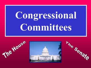 Congressional
Committees
 