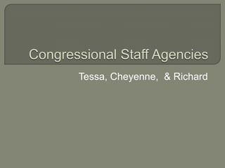 Congressional Staff Agencies Tessa, Cheyenne,  & Richard 
