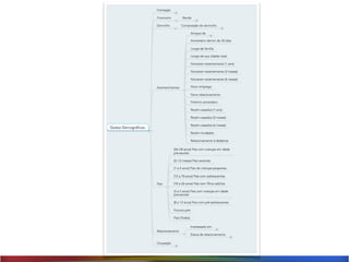 Segmentações nas Novas Mídias
 