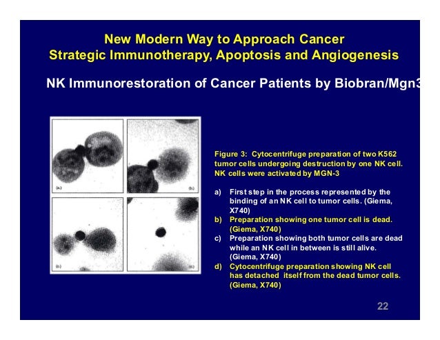 the ultimate networking handbook