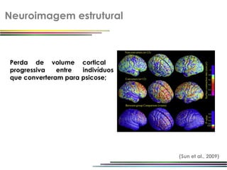 Neuroimagem estrutural



Perda de volume cortical
progressiva   entre  indivíduos
que converteram para psicose;




                                  (Sun et al., 2009)
 