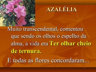 AZALÉLIA


Muito transcendental, comentou
 que sendo os olhos o espelho da
 alma, a vida era Ter olhar cheio
 de ternura.
E todas as flores concordaram...
 