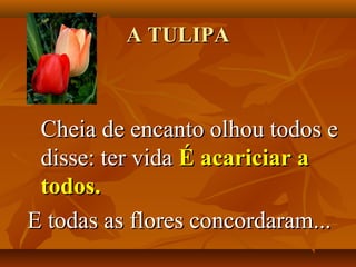 A TULIPA



 Cheia de encanto olhou todos e
 disse: ter vida É acariciar a
 todos.
E todas as flores concordaram...
 