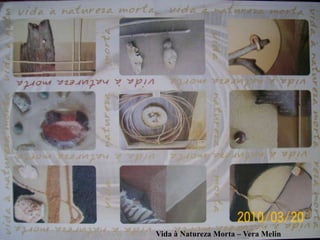 Vida à Natureza Morta – Vera Melin