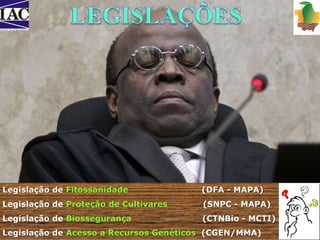 Legislação de Fitossanidade (DFA - MAPA) 
Legislação de Proteção de Cultivares (SNPC - MAPA) 
Legislação de Biossegurança (CTNBio - MCTI) 
Legislação de Acesso a Recursos Genéticos (CGEN/MMA) 
 