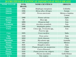 20 FRUTÍFERAS EXÓTICAS IMPORTADAS PELO BRASIL 
NOME VULGAR INTR. 
BRASIL 
NOME CIENTÍFICO ORIGEM 
Acerola 1950 Malphygia emarginata Colômbia 
Amoras 1946 Morus alba e M.nigra Europa 
Abacate 1787 Persea americana México e América 
Central 
Ameixa 1940 Prunus salicina Japão 
Banana XV Musa spp. Ásia 
Caqui 1890 Diospyrus kaki Ásia 
Carambola 1811 Averrhoa carambola Ásia 
Cereja 1946 Malphighia glabra Antilhas 
Citros 1530 Citrus spp., Fortunella spp., 
Poncirus spp. 
Ásia 
Coco 1925 Cocos nucifera Índia 
Figo 1533 Ficus carica Ásia 
Lichia 1810 Litchi chinensis China 
Macadame 1931 Macadamia spp. Austrália 
Mamão XVI Carica papaya México 
Manga XVIII Mangifera indica Ásia 
Nectarina 1532 Prunus persica var. nucipersica China 
Pecan 1910 Carya ellinoensis USA 
Pêssego 1532 Prunus persica var. vulgaris China 
Tâmara 1934 Phoenix dactylifera Golfo Pérsico 
Uva 1532 Vitis vinifera Ásia 
 