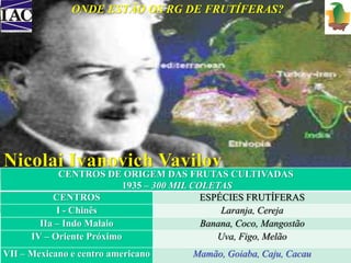 ONDE ESTÃO OS RG DE FRUTÍFERAS? 
CENTROS DE ORIGEM DAS FRUTAS CULTIVADAS 
1935 – 300 MIL COLETAS 
CENTROS ESPÉCIES FRUTÍFERAS 
I - Chinês Laranja, Cereja 
IIa – Indo Malaio Banana, Coco, Mangostão 
IV – Oriente Próximo Uva, Figo, Melão 
VII – Mexicano e centro americano Mamão, Goiaba, Caju, Cacau 
 