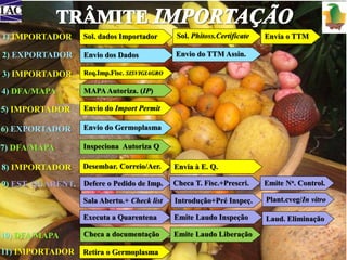 Sol. dados Importador 
Req.Imp.Fisc. SISVIGIAGRO 
Sol. Phitoss.Certificate Envia o TTM 
MAPA Autoriza. (IP) 
Envio do Import Permit 
Inspeciona Autoriza Q 
Desembar. Correio/Aer. Envia à E. Q. 
1) IMPORTADOR 
2) EXPORTADOR 
3) IMPORTADOR 
5) IMPORTADOR 
Envio dos Dados Envio do TTM Assin. 
4) DFA/MAPA 
Envio do Germoplasma 
Defere o Pedido de Imp. Checa T. Fisc.+Prescri. Emite No. Control. 
Sala Abertu.+ Check list Introdução+Pré Inspeç. Plant.cveg/In vitro 
Executa a Quarentena Emite Laudo Inspeção 
10) DFA/MAPA Checa a documentação 
Retira o Germoplasma 
6) EXPORTADOR 
7) DFA/MAPA 
8) IMPORTADOR 
9) EST. QUARENT. 
11) IMPORTADOR 
Laud. Eliminação 
Emite Laudo Liberação 
 